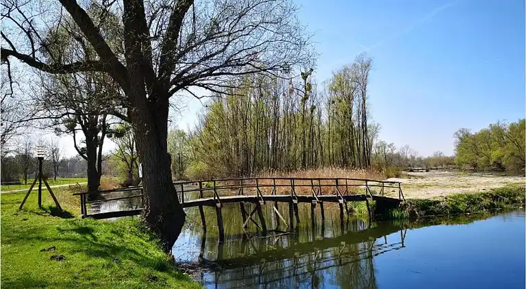 Villa i Bol