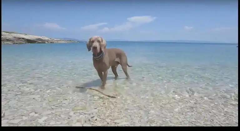 Ferielejlighed i Tisno