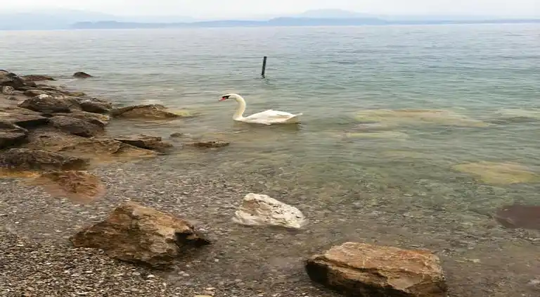 Ferielejlighed i Sirmione