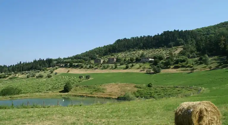 Casa rural en Dicomano