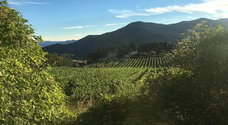 Feriebolig i Dicomano