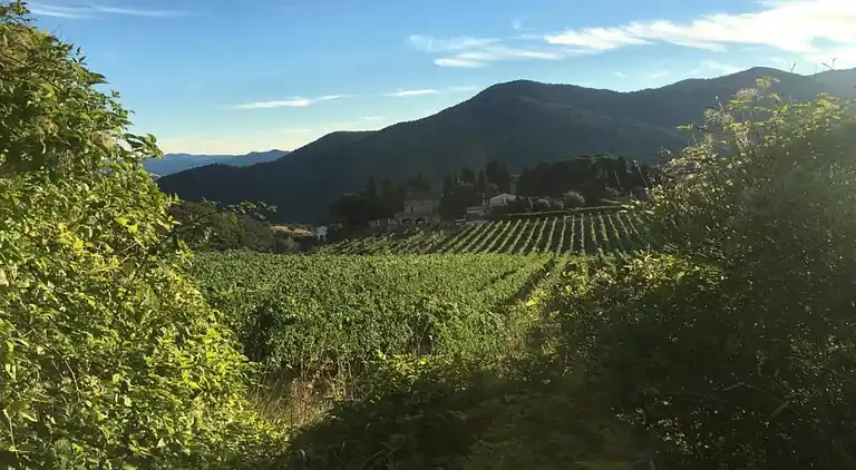 Vakantiehuis in Figline e Incisa Valdarno