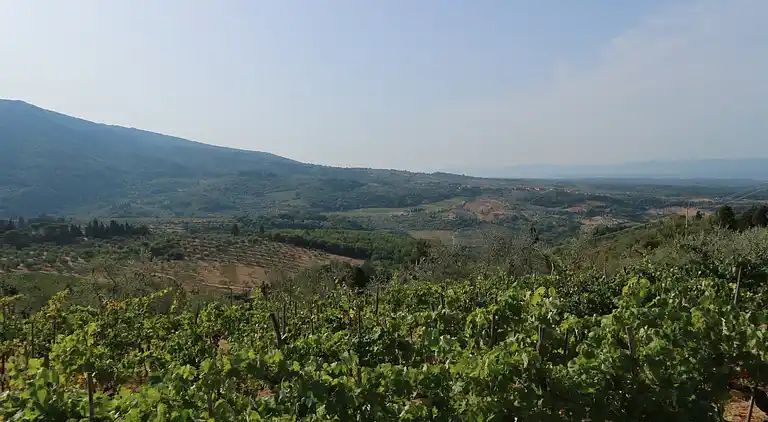 Holiday home in Pelago