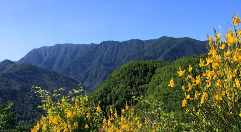 Holiday home in Figline e Incisa Valdarno