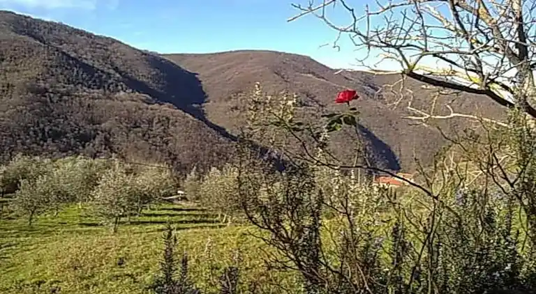 Apartment in Figline e Incisa Valdarno
