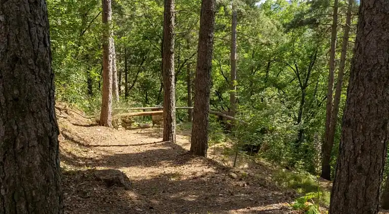 Feriebolig i Dicomano