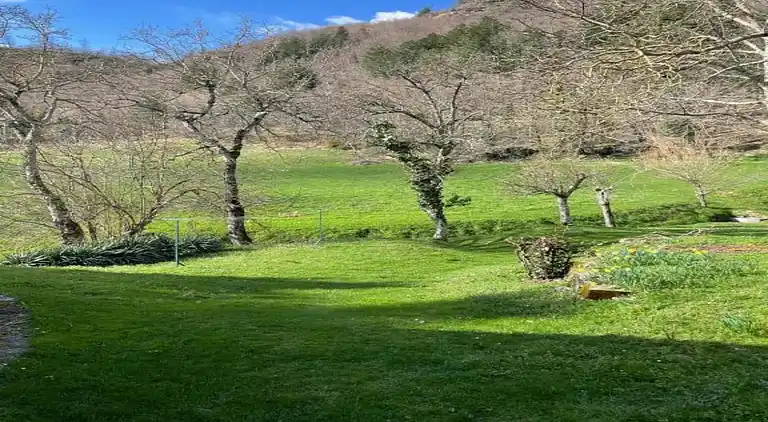 Holiday home in Pelago