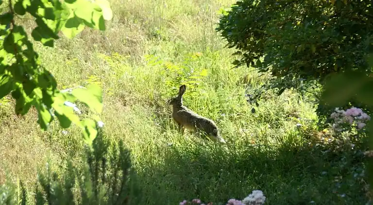 Vakantiehuis in Figline e Incisa Valdarno