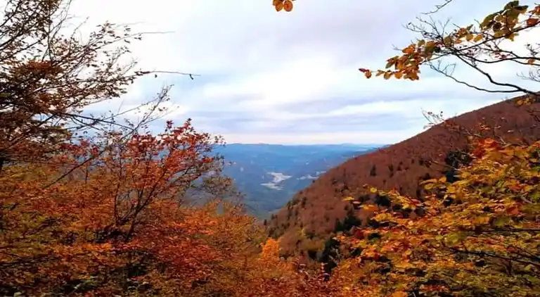 Feriebolig i Ortignano Raggiolo