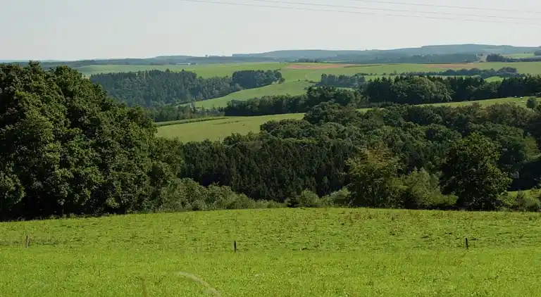 Feriebolig i Ortignano Raggiolo