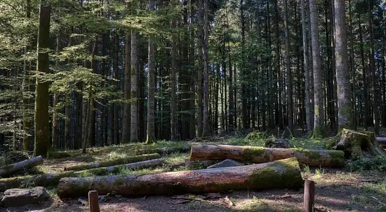 Feriebolig i Ortignano Raggiolo