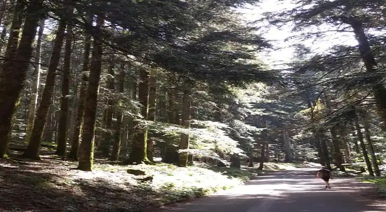 Sommerhus i Badia Prataglia