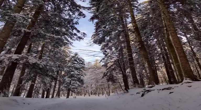 Feriebolig i Ortignano Raggiolo