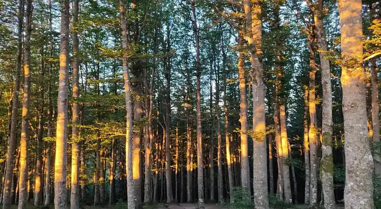 Feriebolig i Ortignano Raggiolo