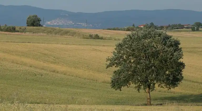 Farm house in Camucia