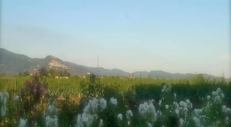 Farm house in Camucia