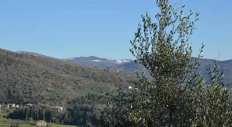 Feriebolig i Farneta II