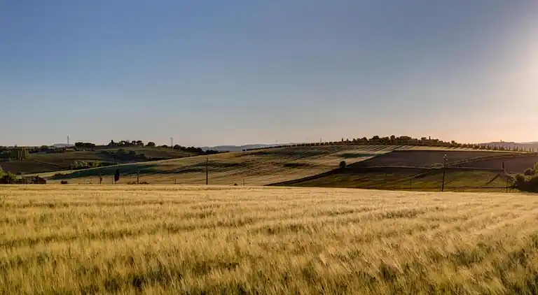 Feriebolig i Farneta II