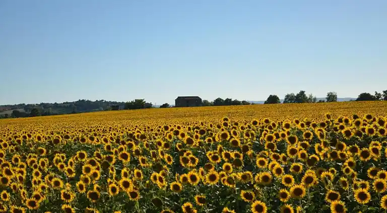 Holiday home in Camucia