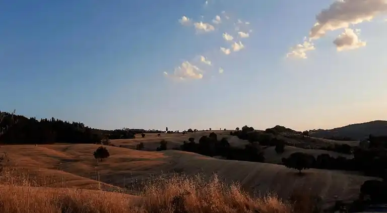 Cottage in Sinalunga