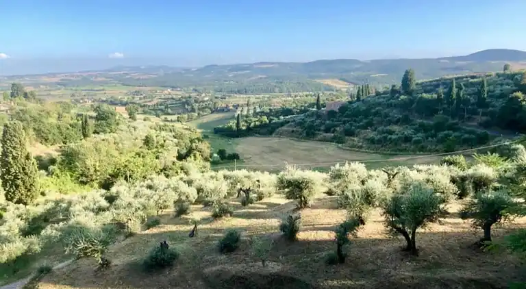 Cottage in Sinalunga