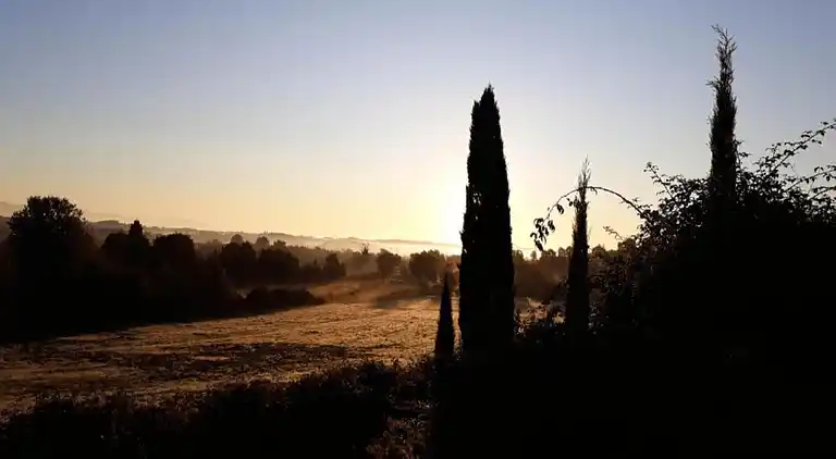 Cottage in Sinalunga