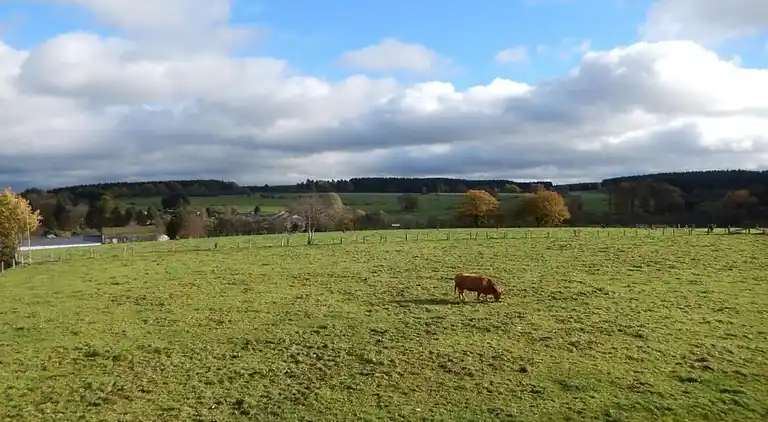 Appartement in Fosse