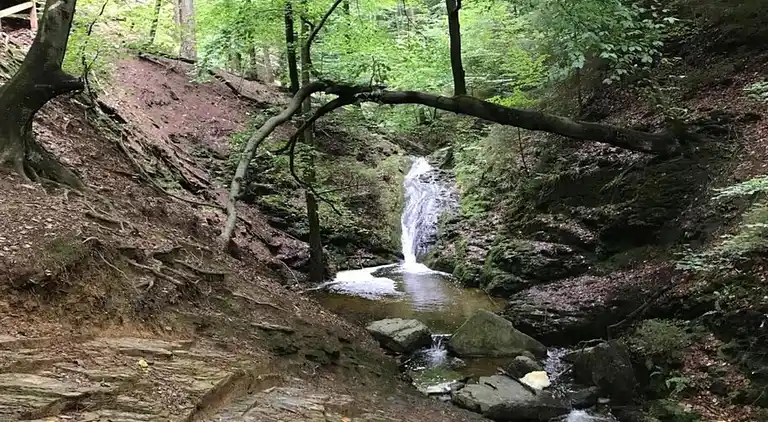Cottage in La Gleize