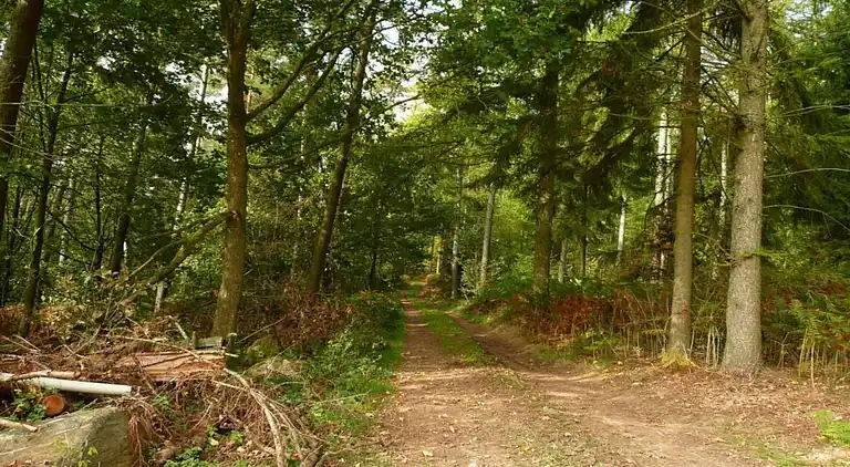 Appartement in Fosse