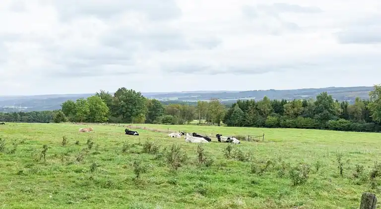 Appartement in Fosse