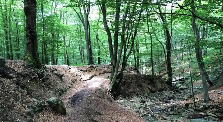 Apartment in Stoumont