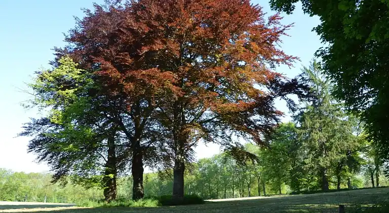 Appartement in Fosse