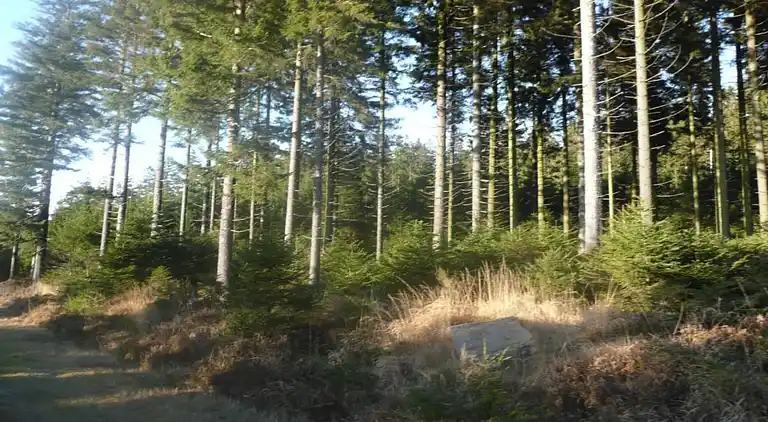 Appartement in Fosse