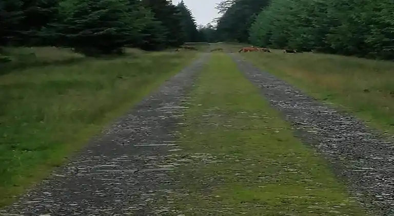 Cottage in La Gleize