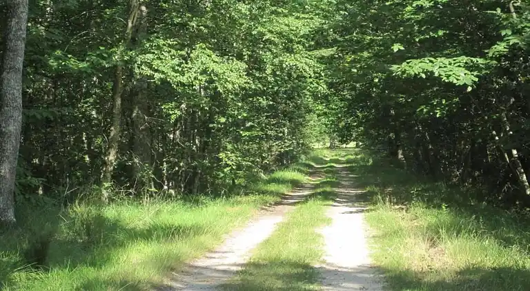 Cottage in La Gleize