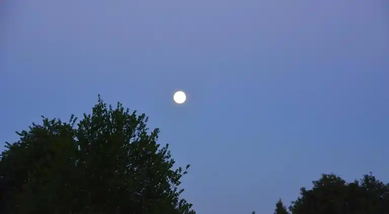 Cottage in La Gleize