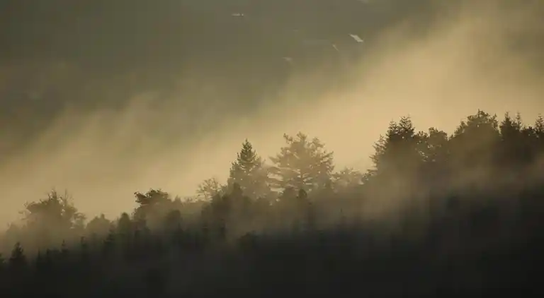 Cottage in La Gleize