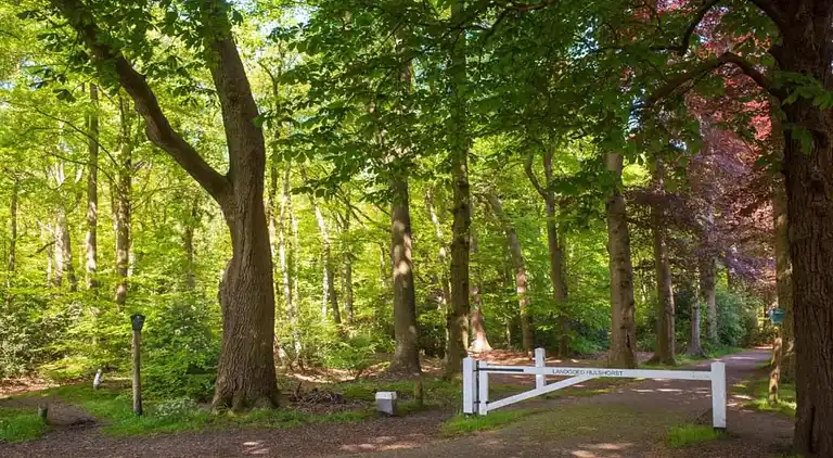 Sommerhus i Hulshorst
