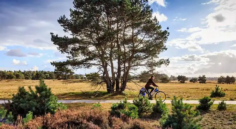 Sommerhus i Hulshorst