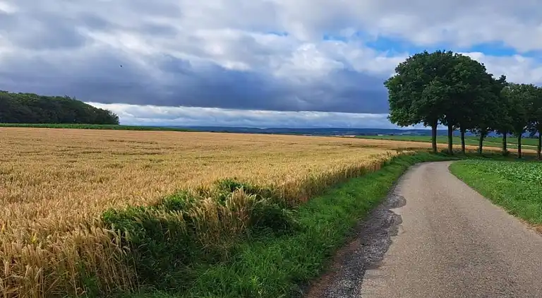 Vakantiehuis in Sweikhuizen