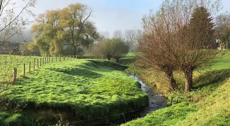 Vakantiehuis in Sweikhuizen