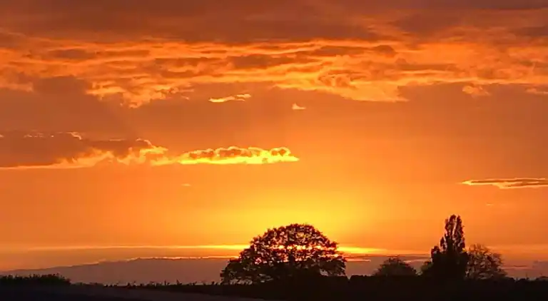 Vakantiehuis in Sweikhuizen