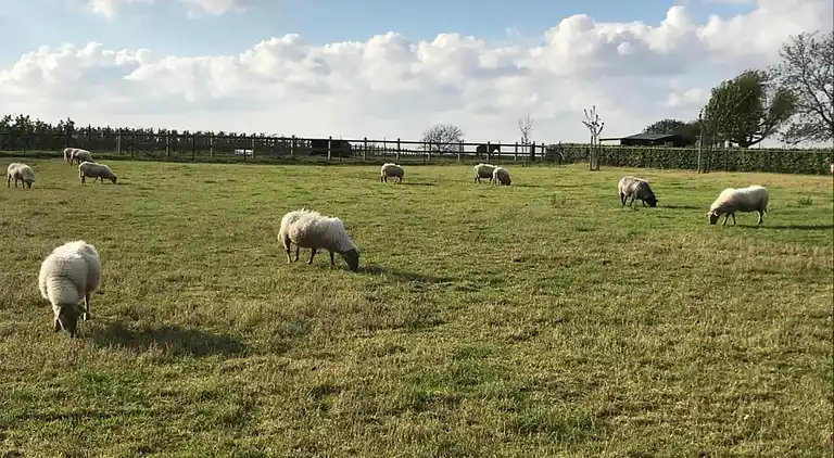 Holiday home in Ulestraten