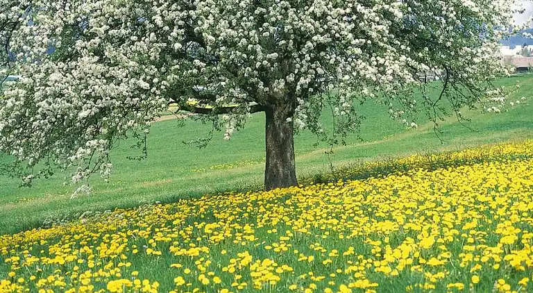 Holiday home in Slenaken