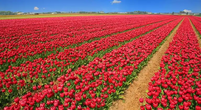 Holiday home in Bergen aan Zee