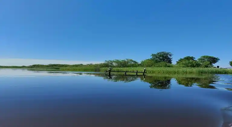 Vakantiehuis in Grou