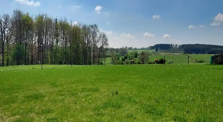 Sommerhus i Tenneville