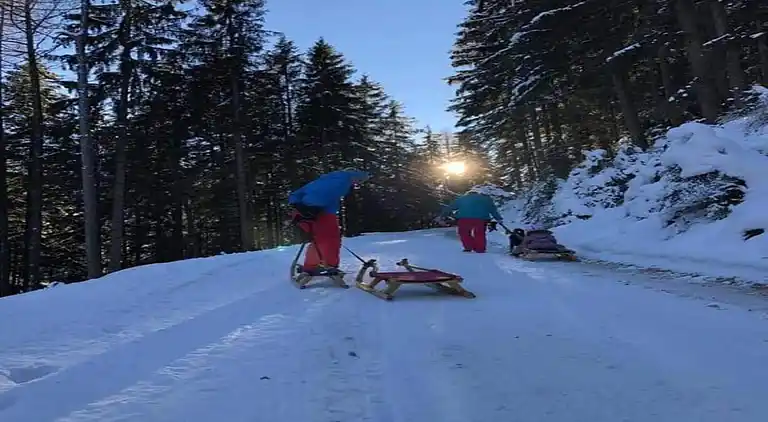 Ferielejlighed i Kaltenbach