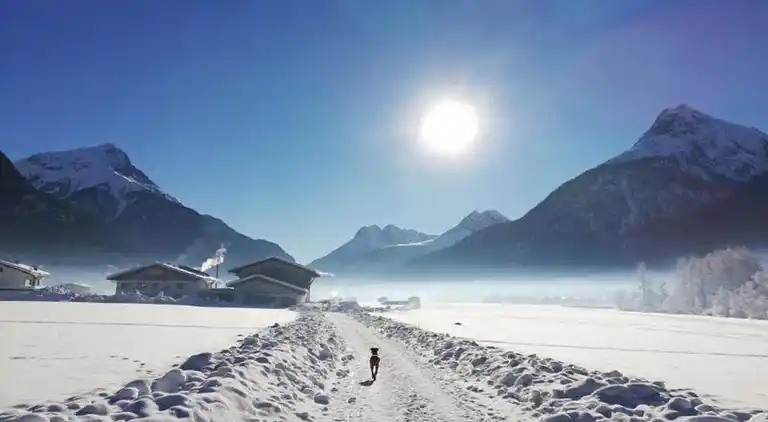 Ferielejlighed i Kaltenbach