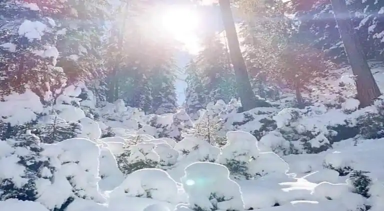 Ferielejlighed i Kaltenbach